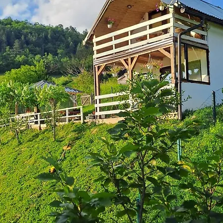 Natural House Високо