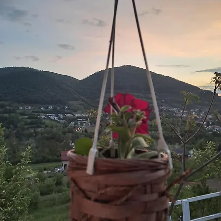 Natural House Σπίτι διακοπών Visoko